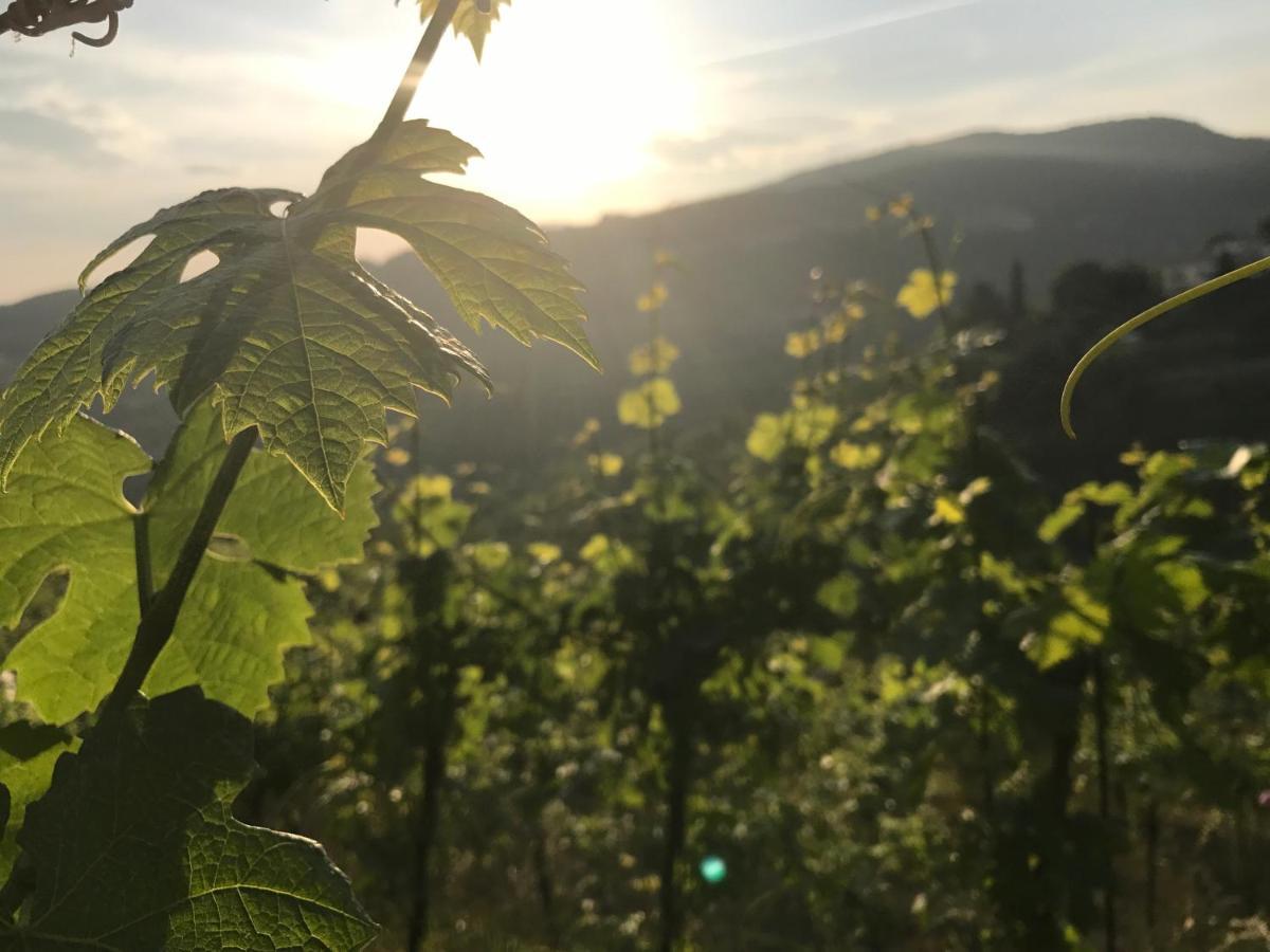 Locanda "Al Terrazzo" Erbezzo Экстерьер фото